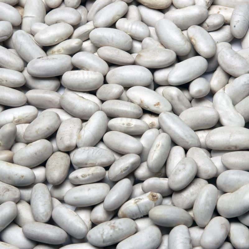 Munsyari Rajma Kidney Bean Seeds – White/Yellow