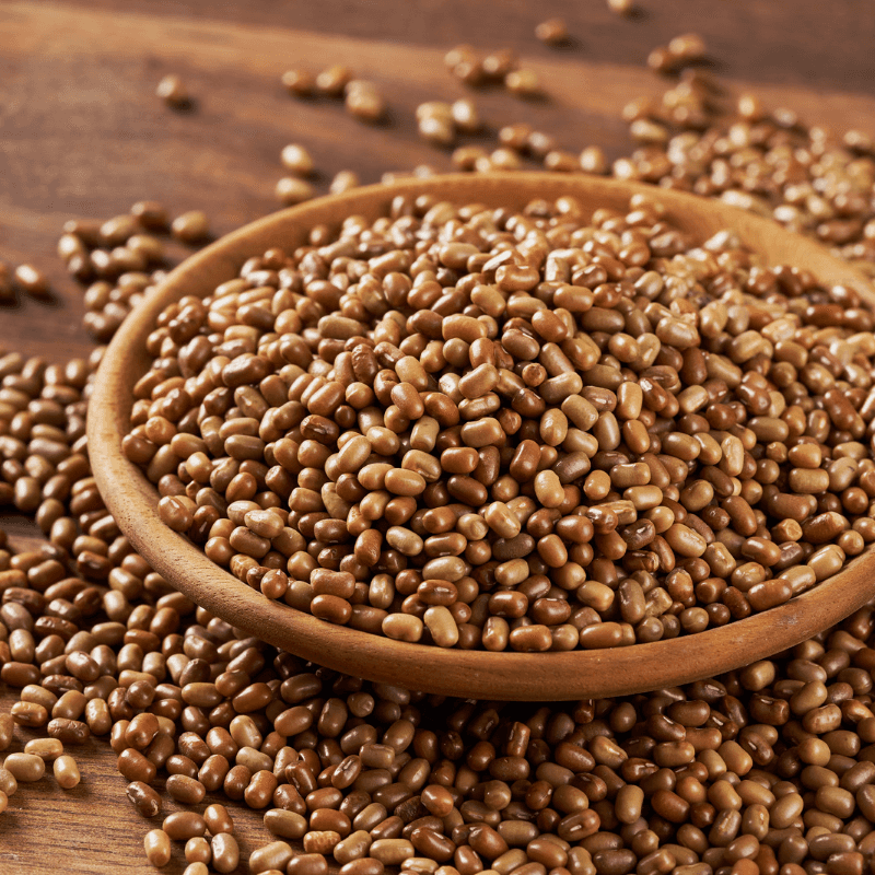 Mat bean white, Matki Seeds