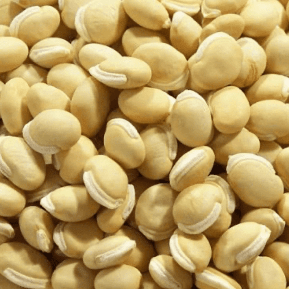 White desi vaal beans Seeds