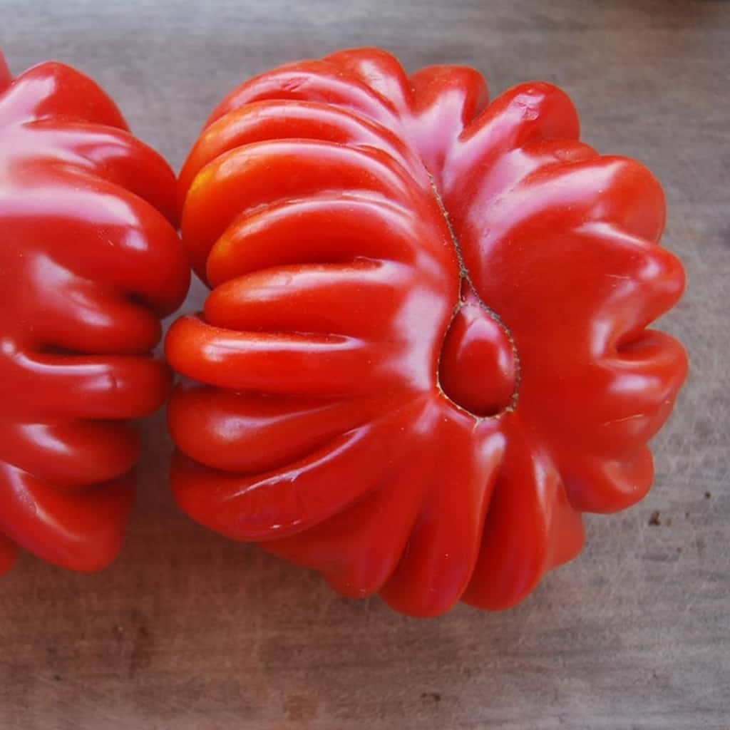 Tomato Beauty Lottringa red Seeds