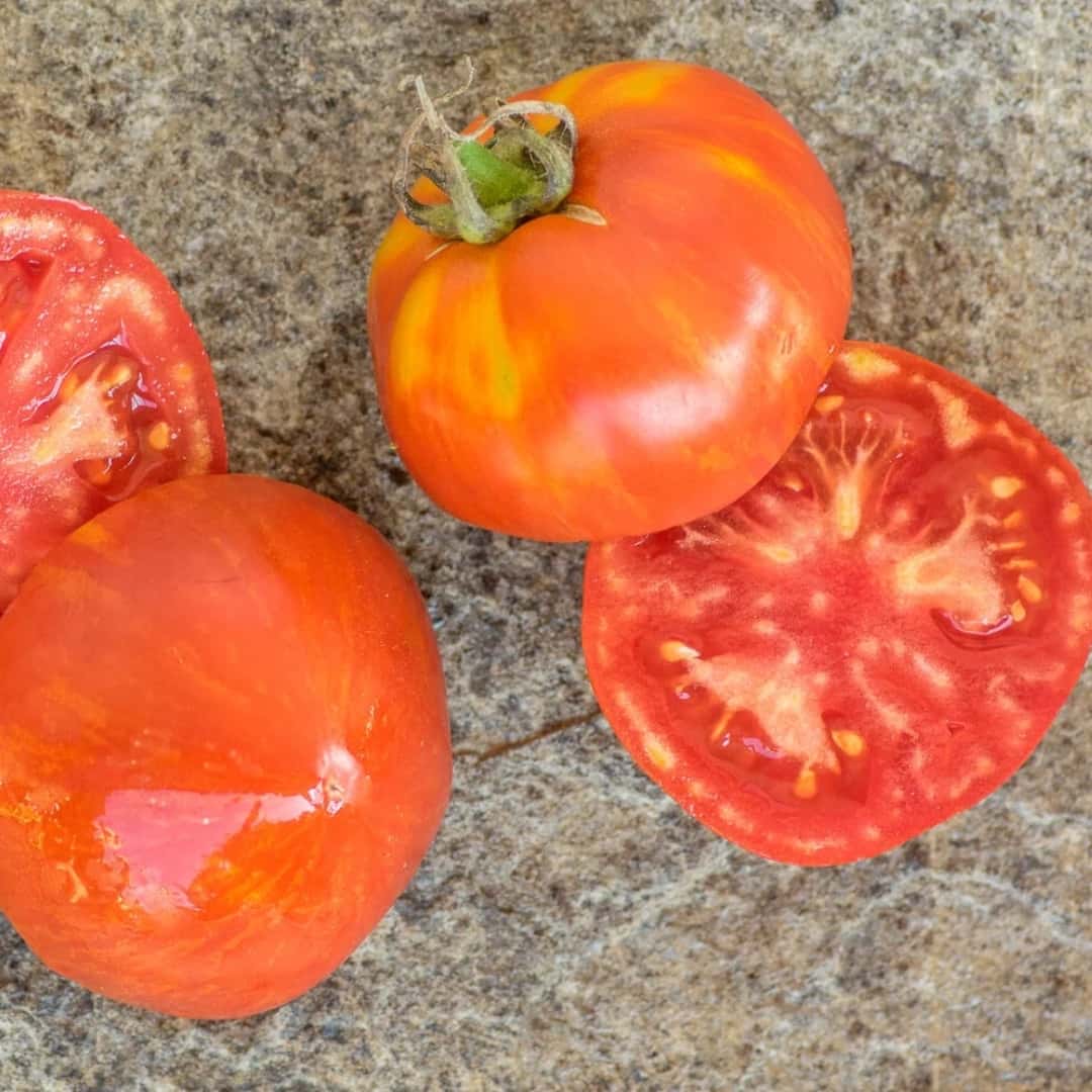 Tomato kozula 174 Seeds