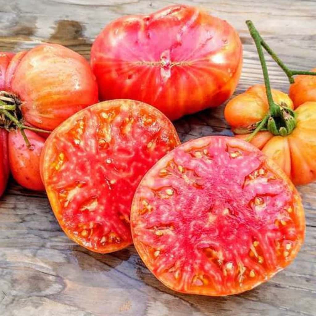 Tomato Hillbilly Seeds