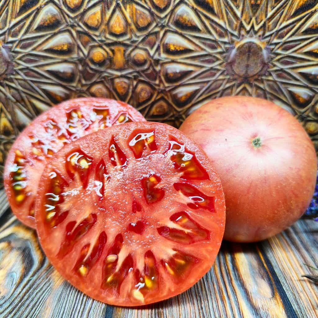 Tomato Kozula 184 Seeds