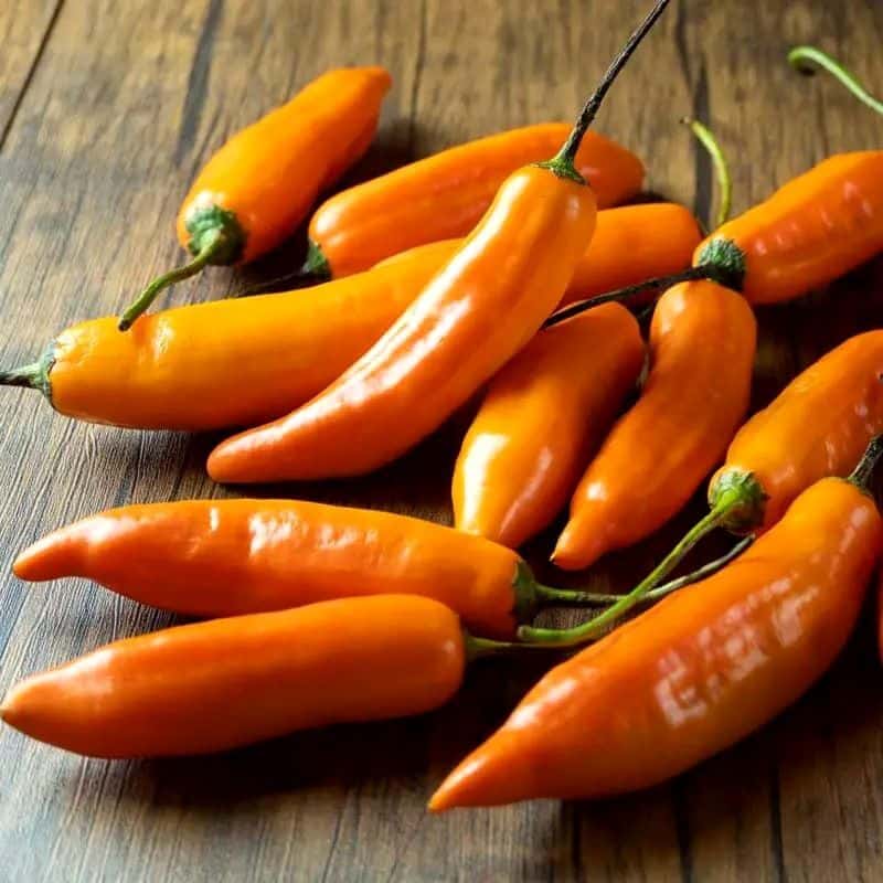 Hot pepper Aji Amarillo Seeds