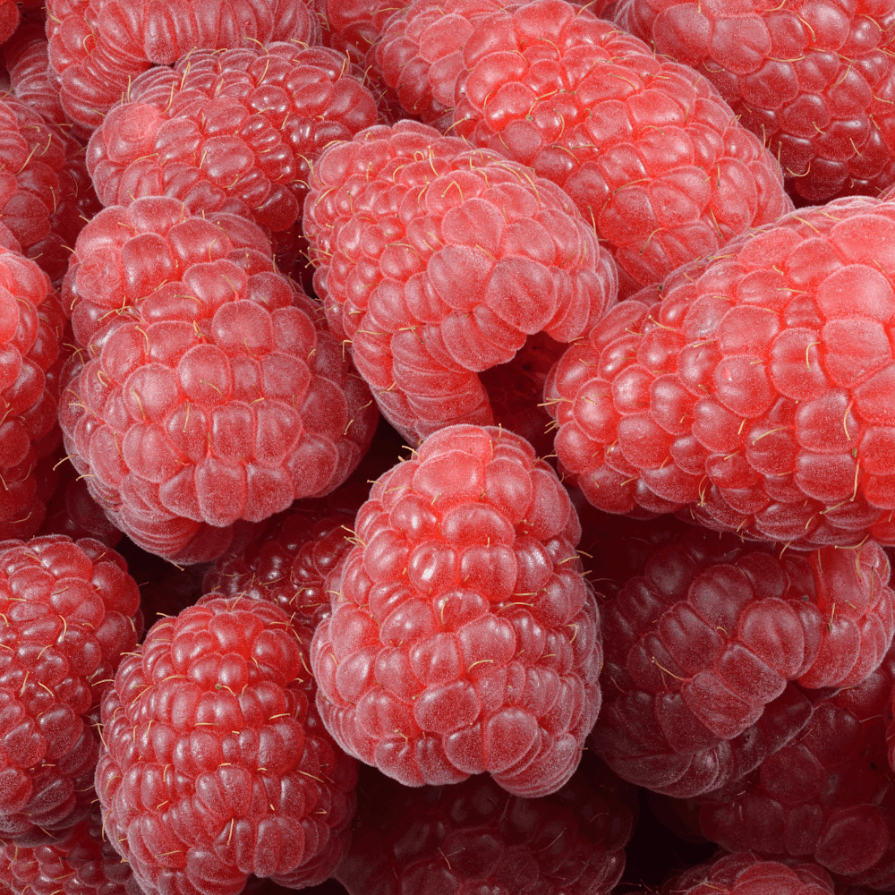 Fruit and Berry Seeds seed collection