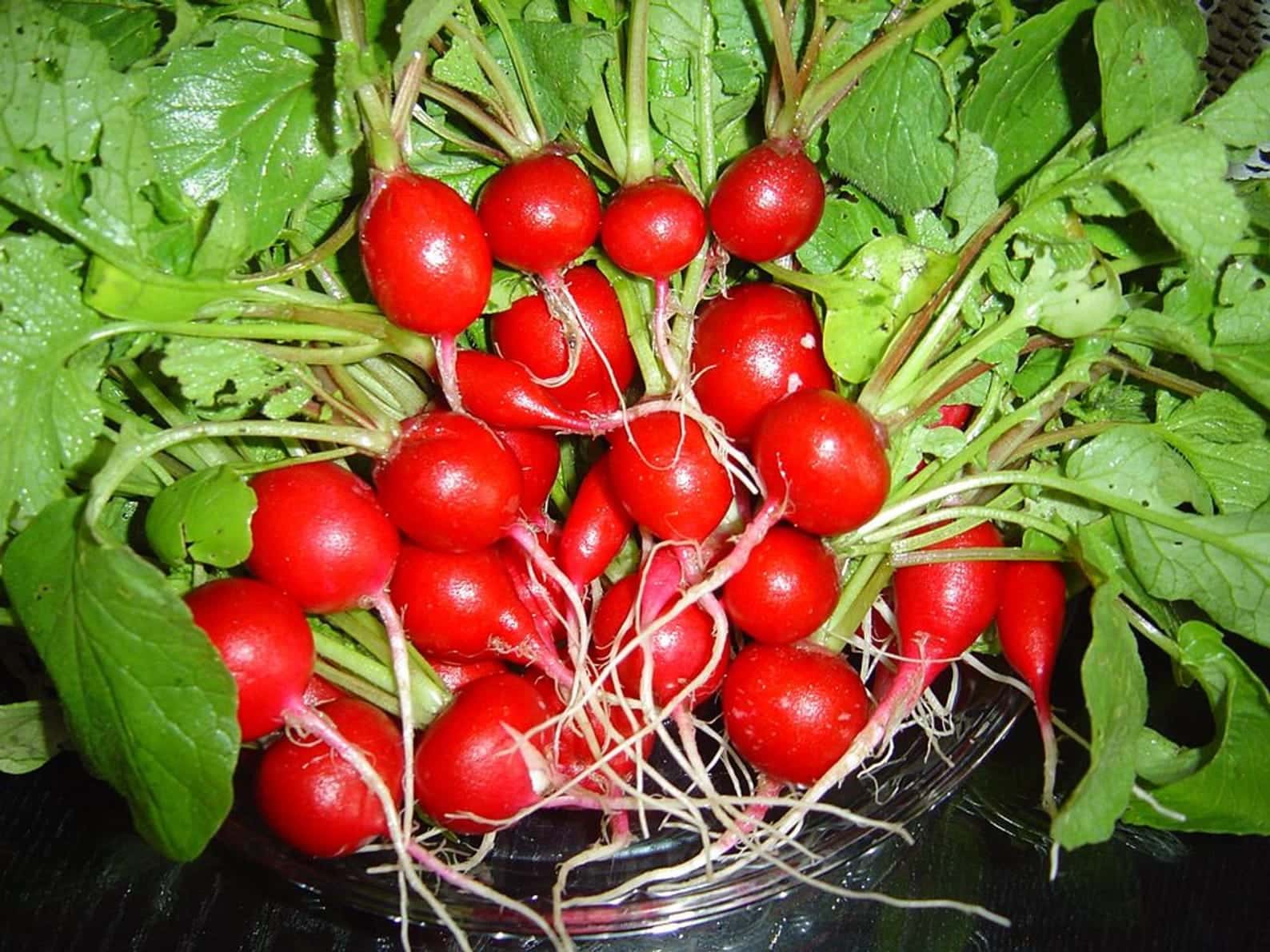 Red Round Radish Seeds