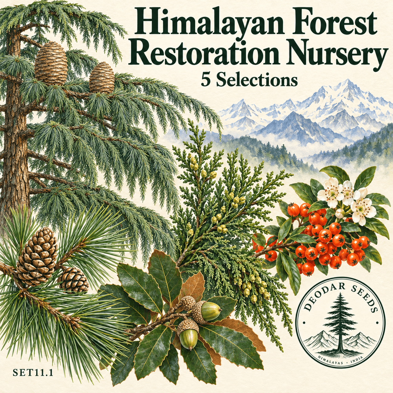 Himalayan Forest Restoration Nursery Collection, 5 Seed Varieties
