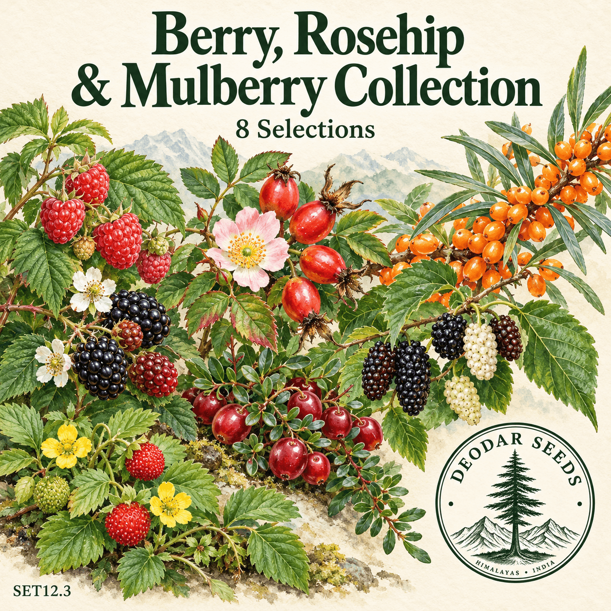 Berry Rosehip & Mulberry Collection, 8 Seed Varieties