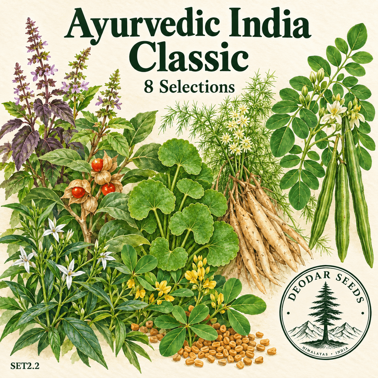 Ayurvedic India Classic Kit, 8 Seed Varieties