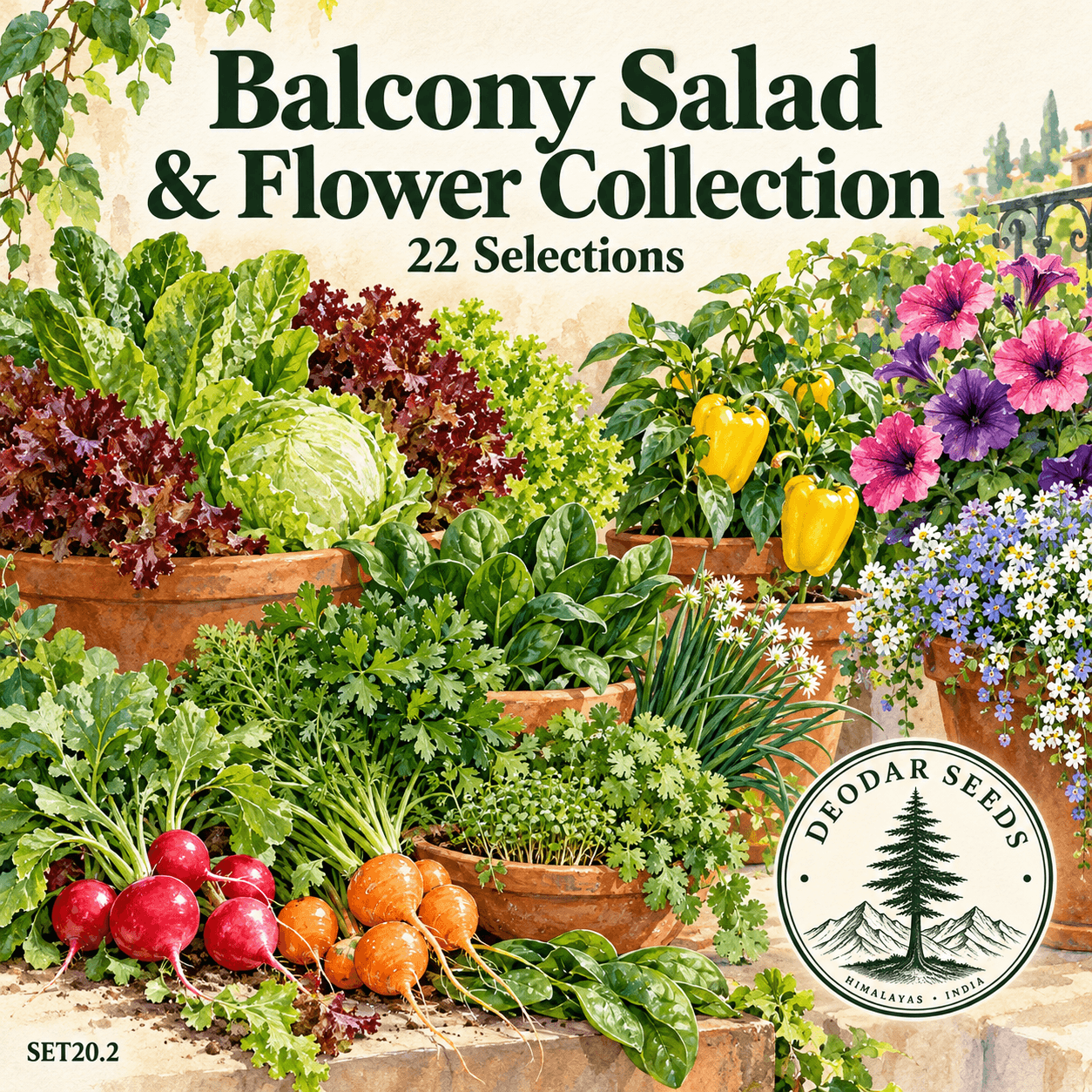 Balcony Salad & Flower Collection, 22 Seed Varieties