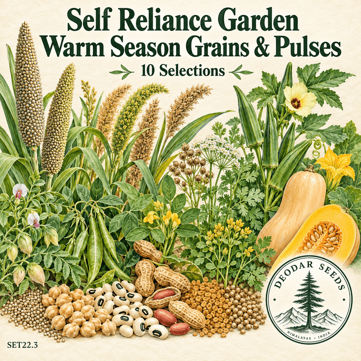 Self Reliance Garden Warm Season Grains & Pulses, 10 Seed Varieties