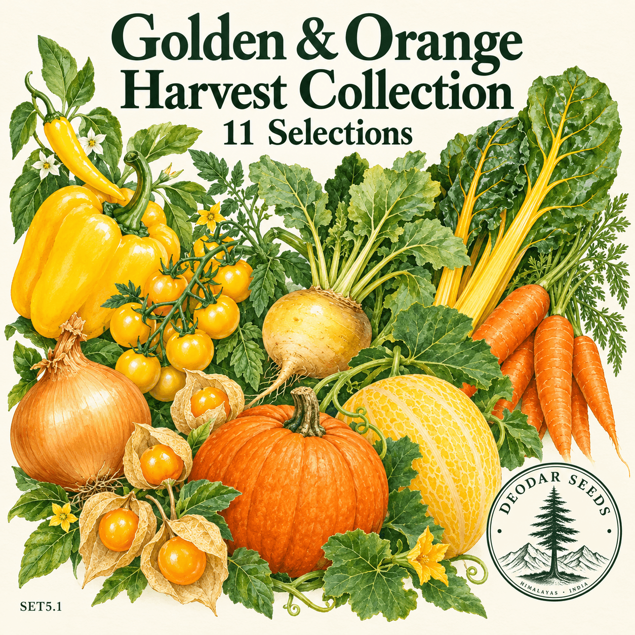 Golden & Orange Harvest Collection, 11 Seed Varieties